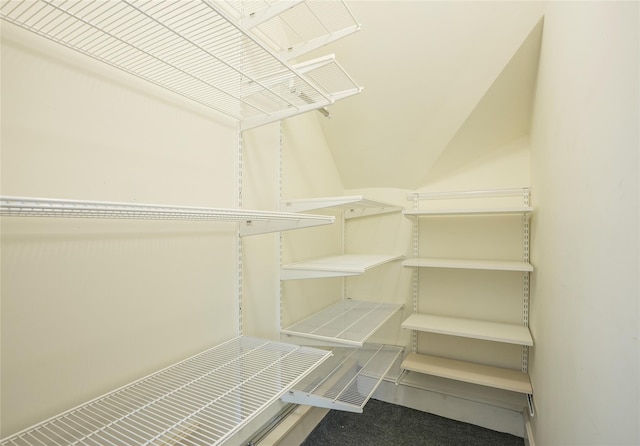walk in closet with carpet flooring