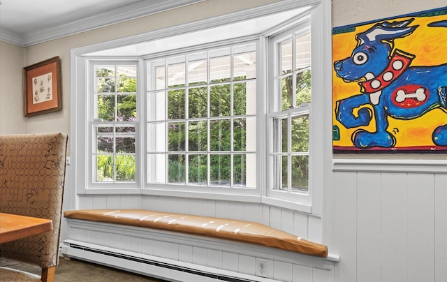 80 E Broadway, Roslyn, NY 11576 - detailed view of crown molding, carpet flooring, baseboard heating, a decorative wall, and wainscoting