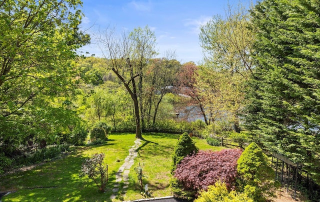 80 E Broadway, Roslyn, NY 11576 - view of grassy yard with a wooded view