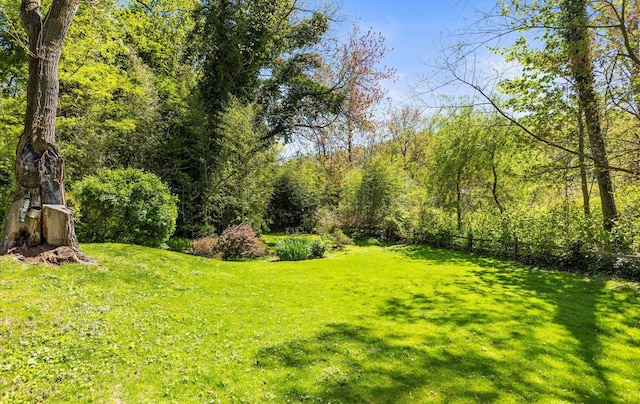 80 E Broadway, Roslyn, NY 11576 - view of grassy yard with a view of trees