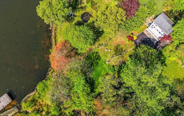 80 E Broadway, Roslyn, NY 11576 - drone / aerial view
