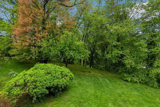 19 James Ct Unit 19, Port Chester, NY 10573 - view of green lawn