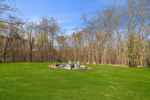 view of yard featuring a fire pit
