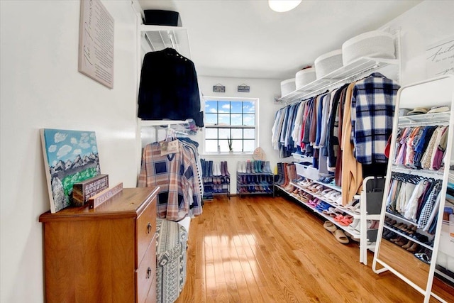 walk in closet featuring wood finished floors