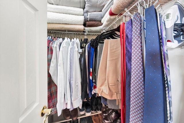 view of walk in closet