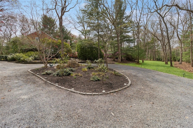 27 Ely Brook Rd, East Hampton, NY 11937 - photo 38