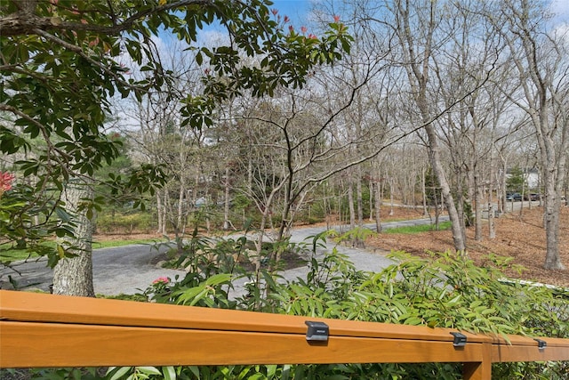 27 Ely Brook Rd, East Hampton, NY 11937 - photo 41