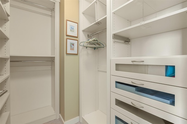 view of walk in closet