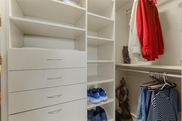 view of walk in closet