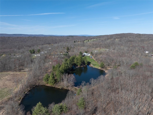 birds eye view of property featuring a forest view and a water view