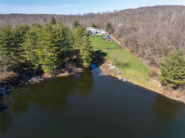 birds eye view of property with a forest view and a water view