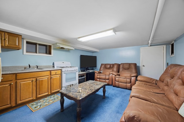 living area featuring carpet