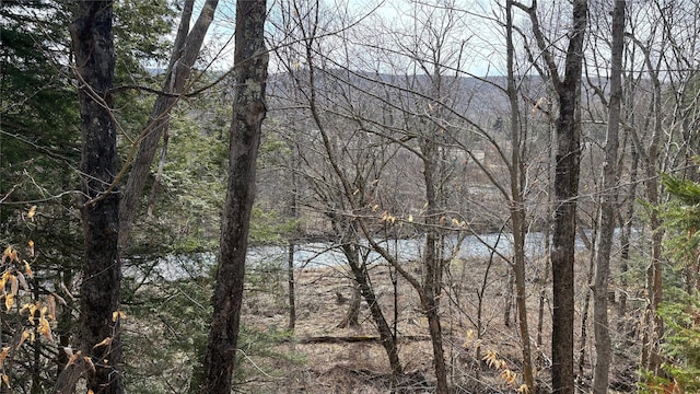 property view of water with a forest view