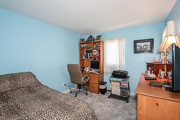 80 Lauren Ave, Dix Hills, NY 11746 - office area featuring carpet flooring and baseboards