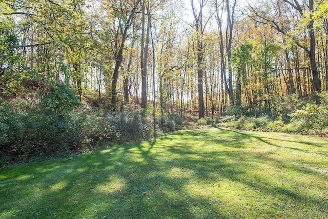 452 Hibernia Rd, Salt Point, NY 12578 - view of yard with a view of trees