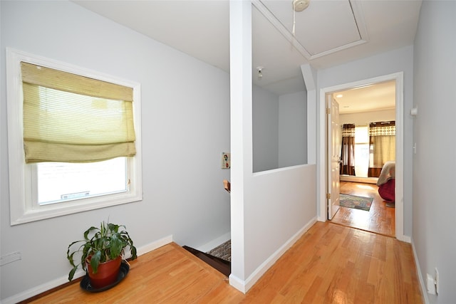 102-25 163rd Dr, Howard Beach, NY 11414 - corridor featuring light wood finished floors and baseboards