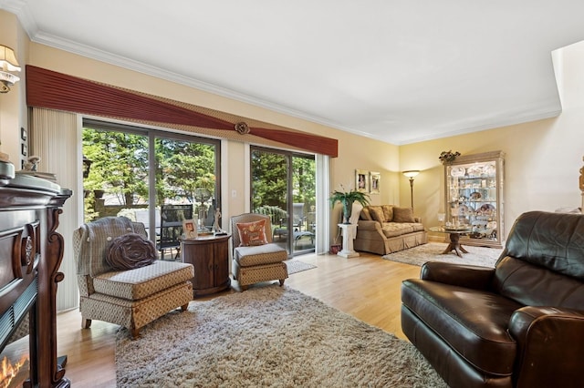 60 Southgate Cir, Massapequa Park, NY 11762 - living room featuring wood finished floors and ornamental molding