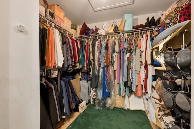 60 Southgate Cir, Massapequa Park, NY 11762 - walk in closet with attic access and carpet
