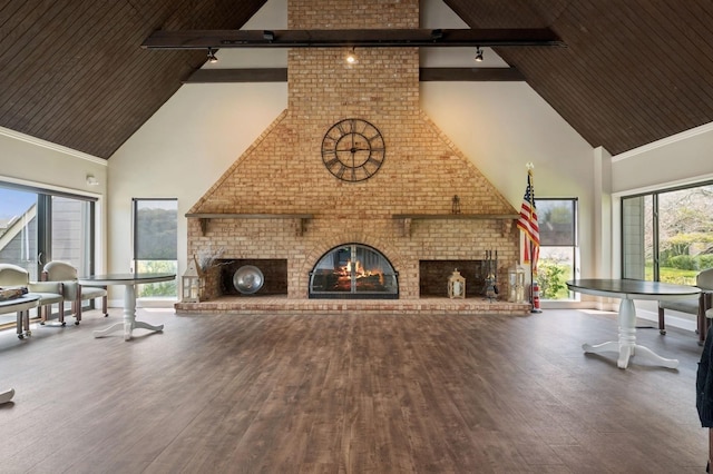 60 Southgate Cir, Massapequa Park, NY 11762 - living room with high vaulted ceiling, rail lighting, wood-type flooring, wooden ceiling, and a brick fireplace
