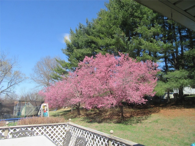 29 Beattie Rd, Washingtonville, NY 10992 - view of yard featuring a trampoline