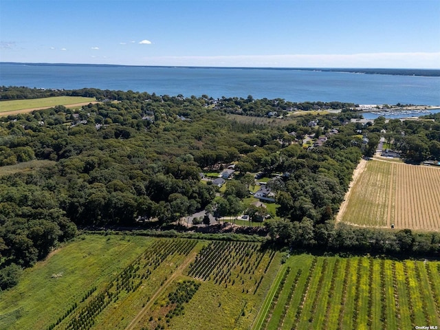 aerial view featuring a water view and a rural view