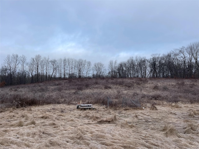 156 Greenville Tpke, Middletown, NY 10940 - view of nature featuring a rural view