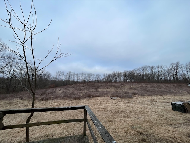 156 Greenville Tpke, Middletown, NY 10940 - view of yard featuring a rural view