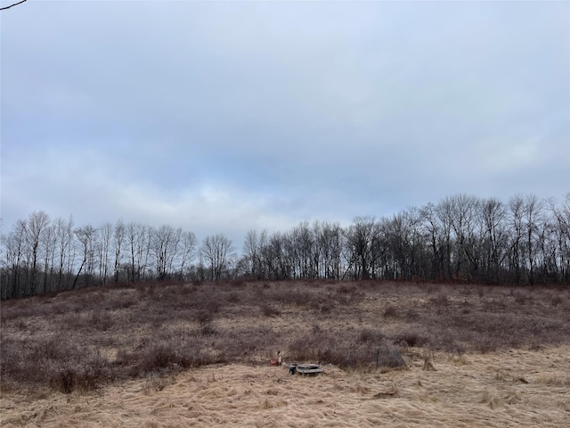 156 Greenville Tpke, Middletown, NY 10940 - view of landscape featuring a rural view