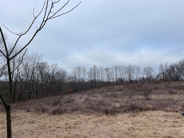 156 Greenville Tpke, Middletown, NY 10940 - view of landscape