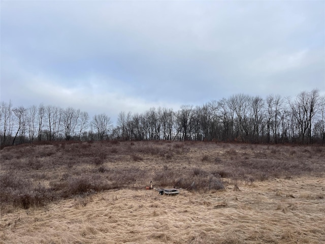 156 Greenville Tpke, Middletown, NY 10940 - view of nature with a rural view