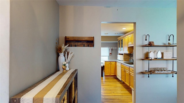 hallway featuring light wood-style floors