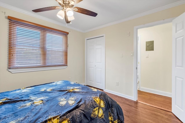 4410 Wilshire Ln Unit 4410, Oakdale, NY 11769 - bedroom featuring wood finished floors, crown molding, baseboards, a closet, and a ceiling fan