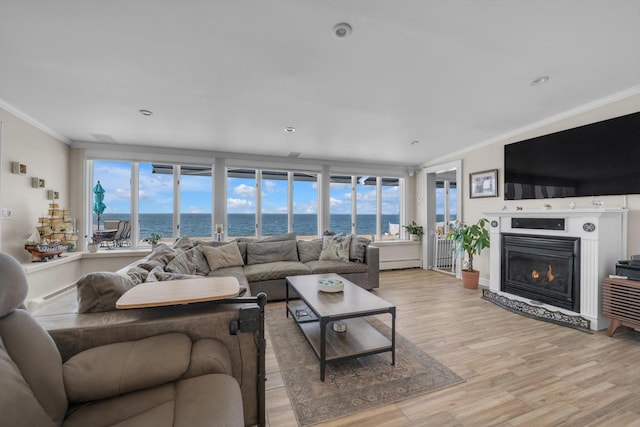 living area featuring crown molding, light wood finished floors, and a healthy amount of sunlight