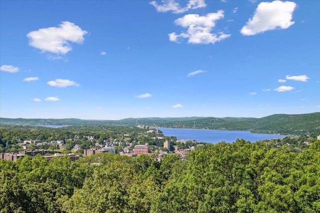 150 Overlook Ave Unit 8V, Peekskill, NY 10566 - water view featuring a forest