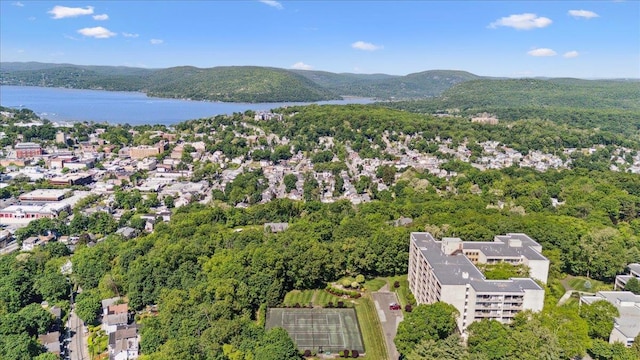 150 Overlook Ave Unit 8V, Peekskill, NY 10566 - drone / aerial view of a water and mountain view and a forest