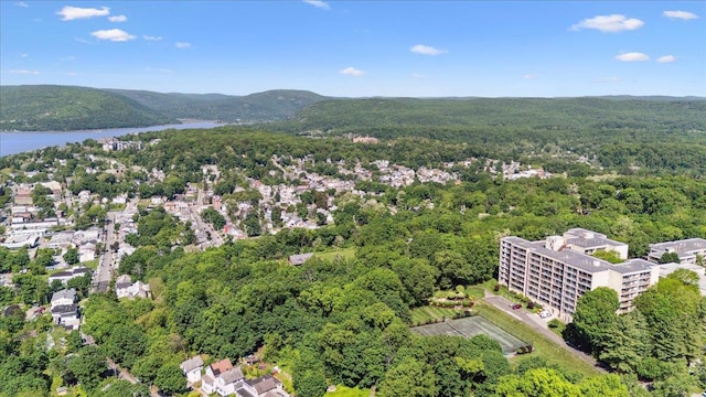 150 Overlook Ave Unit 8V, Peekskill, NY 10566 - aerial view of a heavily wooded area and a water and mountain view