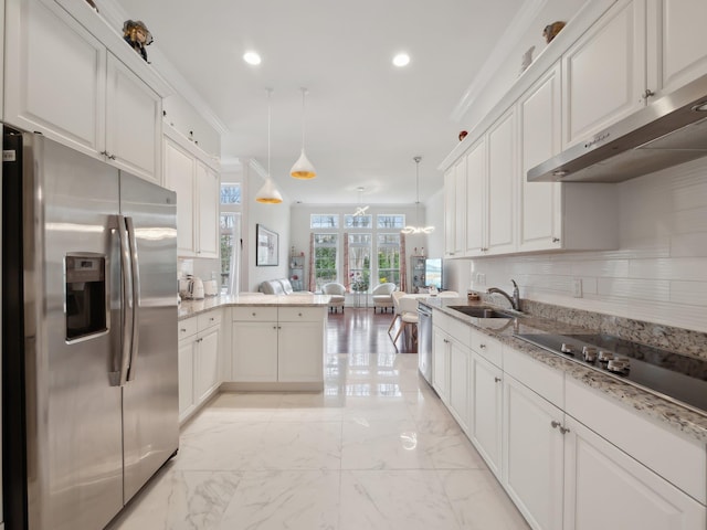 5 Hamlet Woods Dr, Saint James, NY 11780 - kitchen featuring ventilation hood, ornamental molding, a sink, stainless steel appliances, and backsplash