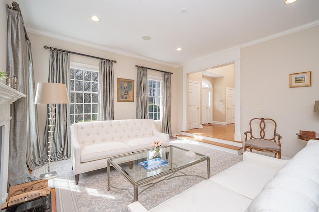 living area featuring ornamental molding and recessed lighting