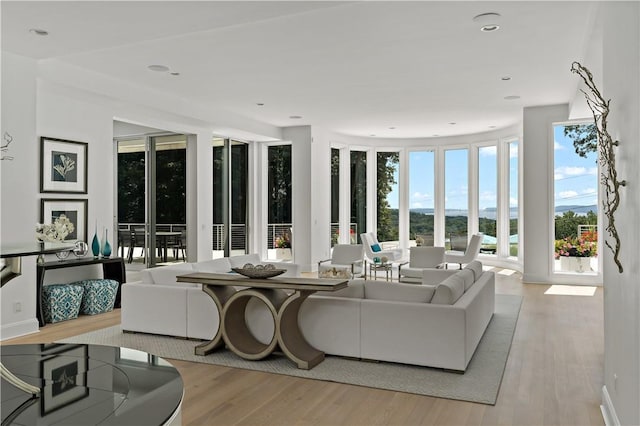 living area featuring recessed lighting and wood finished floors