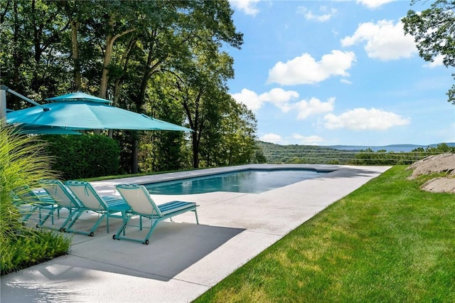 pool featuring a patio area and a yard