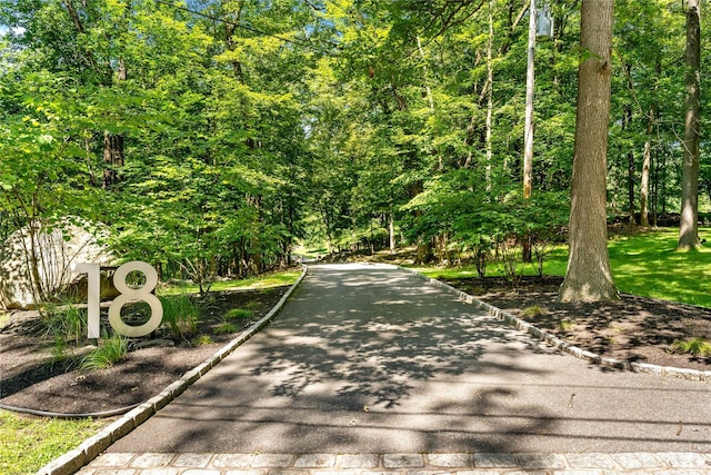 view of road with curbs