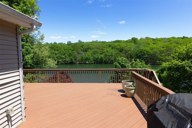 206 Beach Dr, Mahopac, NY 10541 - photo 14