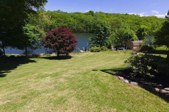 206 Beach Dr, Mahopac, NY 10541 - photo 35