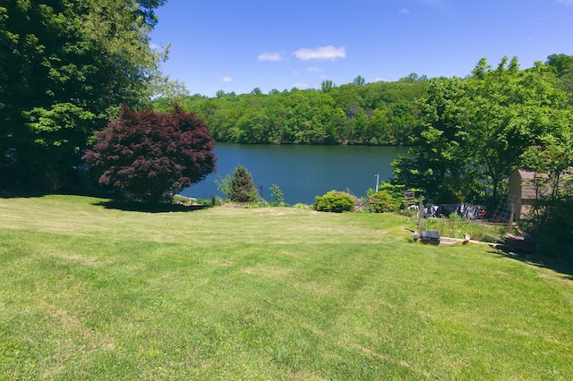 206 Beach Dr, Mahopac, NY 10541 - photo 34