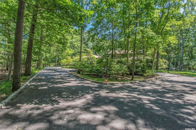 view of road featuring a forest view and curbs