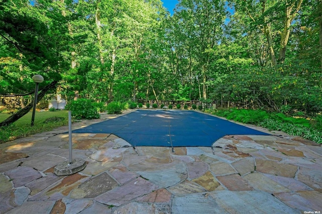 view of swimming pool featuring a patio area