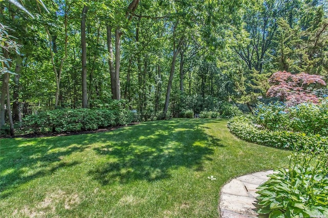 view of yard featuring a view of trees