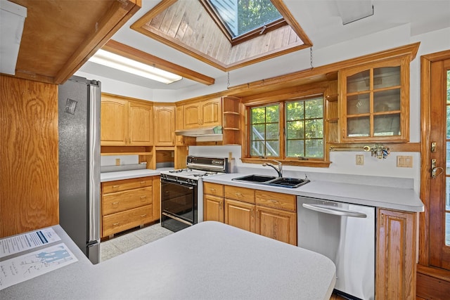 kitchen with open shelves, a skylight, appliances with stainless steel finishes, under cabinet range hood, and a sink