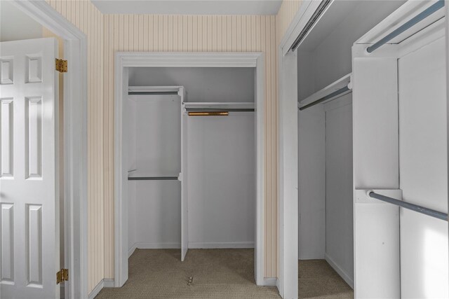 46 Mount Grey Rd, Setauket, NY 11733 - view of closet