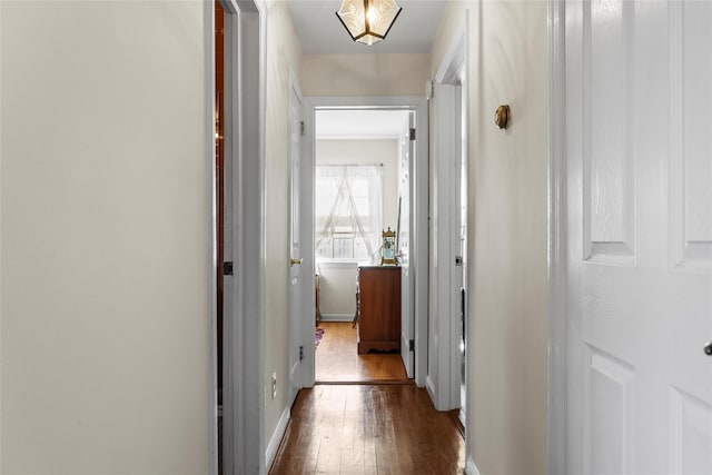 hall with dark wood-type flooring